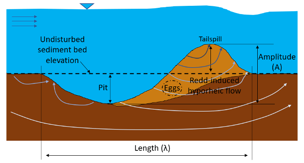 A 2D profile view sketch of a salmon redd (modified from Tonina and Buffington, 2009).